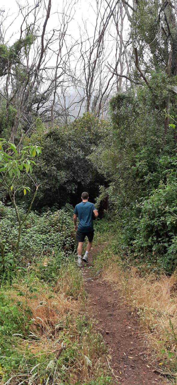 whatsapp image 2020-12-09 at 14.55.05 1.jpeg